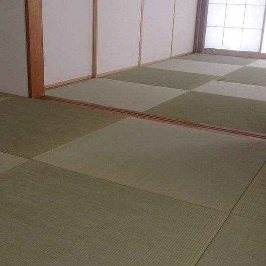 目積い草表 ヘリなし畳